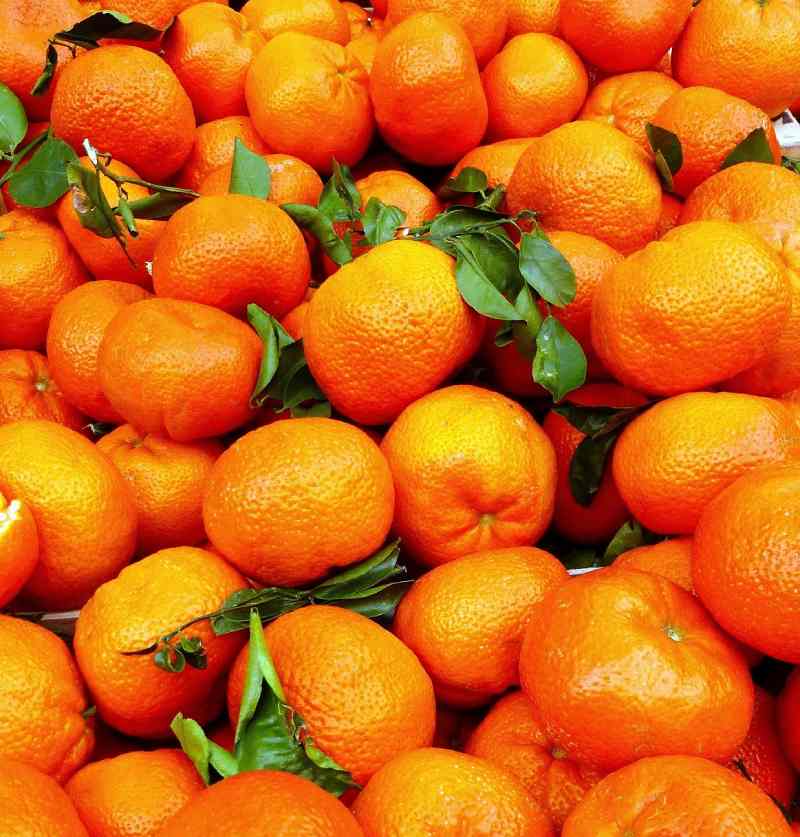 tullservice import export helsingborg tull